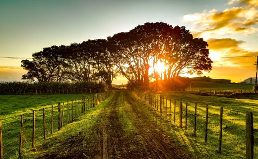 ニュージーランド